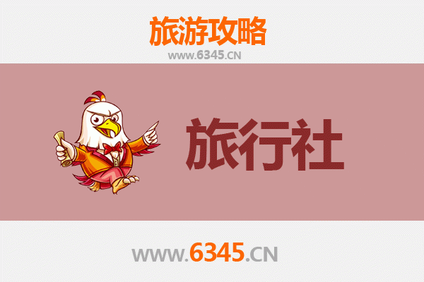 泉州鲤城旅行社精选推荐：深度体验古城魅力的完美向导