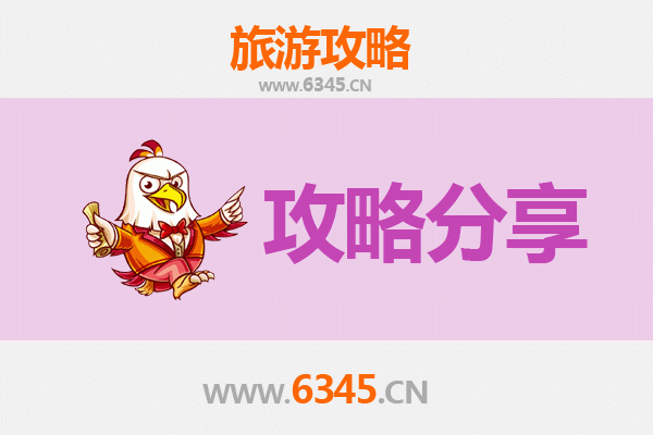 泉州鲤城至湄洲岛旅游攻略：跟团还是自由行？资深博主深度解析